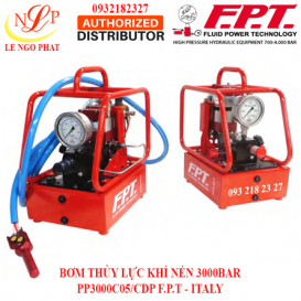 BƠM THỦY LỰC KHÍ NÉN 3000BAR PP3000C05/CDP F.P.T - ITALY