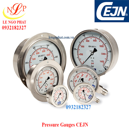 Pressure Gauges 100mm CEJN