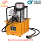Bơm điện thủy lực 2 chiều DB300-S2